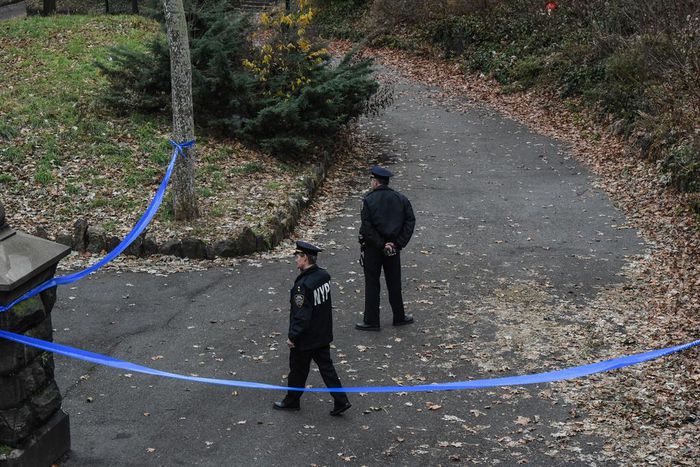 'I'm 13': Killing in Park Yields Startling Suspects