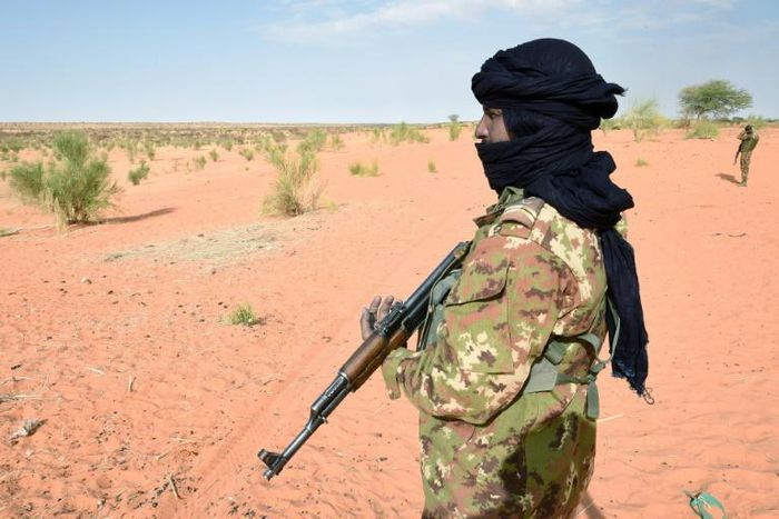 A Malian soldier patrols with French soldiers involved in the regional anti-insurgent Operation Barkhane in 2016 in Timbamogoye, Mali

France's Barkhane counter-terror mission comprises at least 3,500 soldiers deployed across five countries (Mauritania...