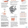 Highlights of the US-Mexico-Canada trade agreement.