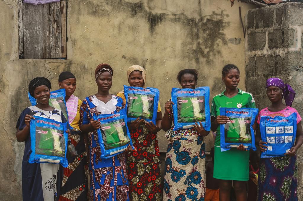 distribution of mosquito nets