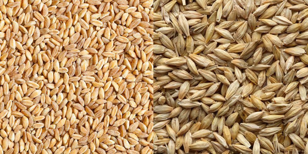 The best whole grains that don’t taste like cardboard