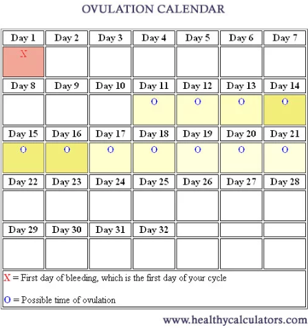 How Ovulation Calculators Can Help You Conceive A Boy