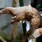 Even though their scales have been scientifically proven to be medicinally useless, the pangolin has become the world's most trafficked animal