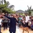 Pastor and church members pray to God through a goat (video)