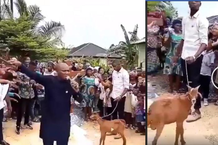 Pastor and church members pray to God through a goat (video)