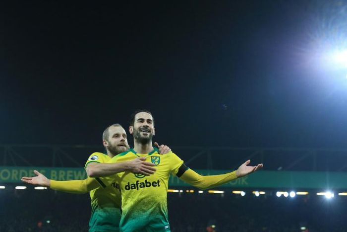 Staying alive: Mario Vrancic (right) scored the opening goal as bottom-of-the-table Norwich held Tottenham