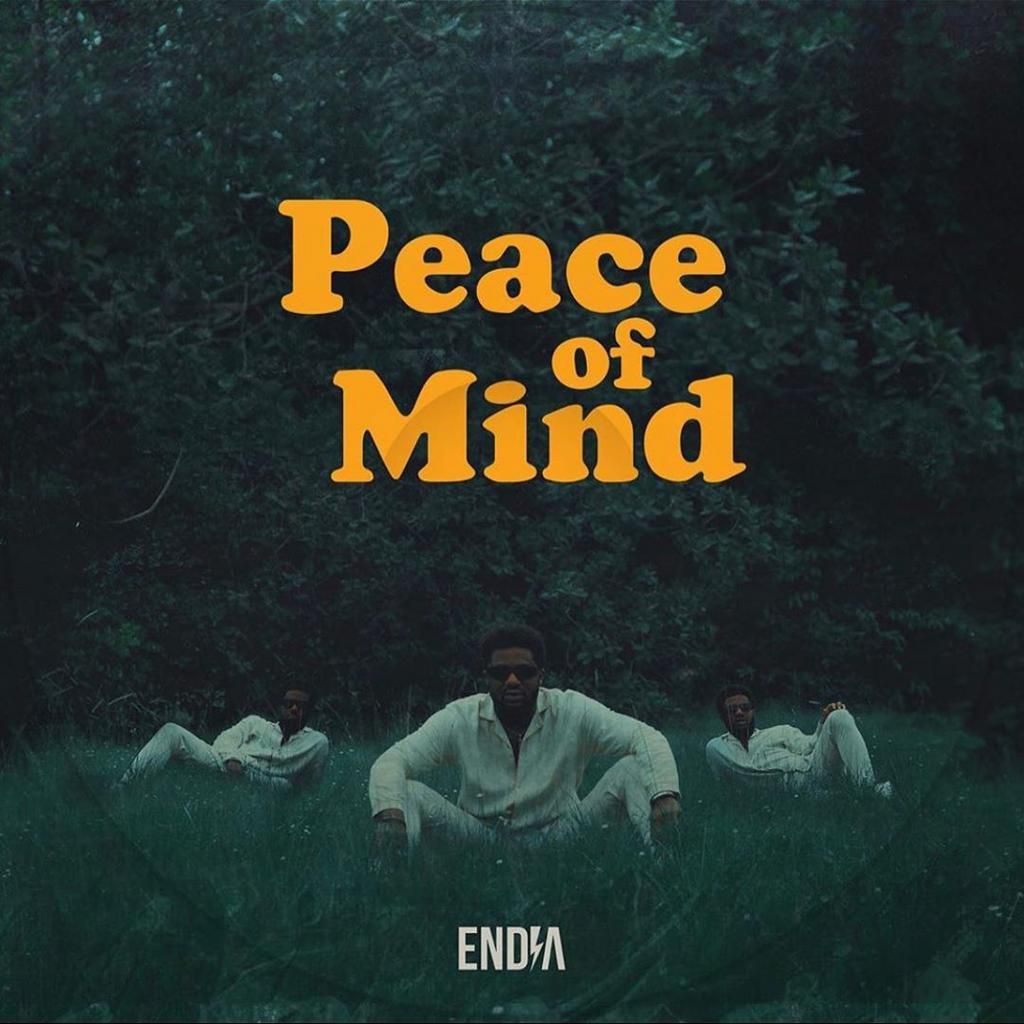 Endia - Peace of Mind. (Nigerian Sounds)