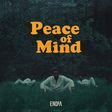 Endia - Peace of Mind. (Nigerian Sounds)