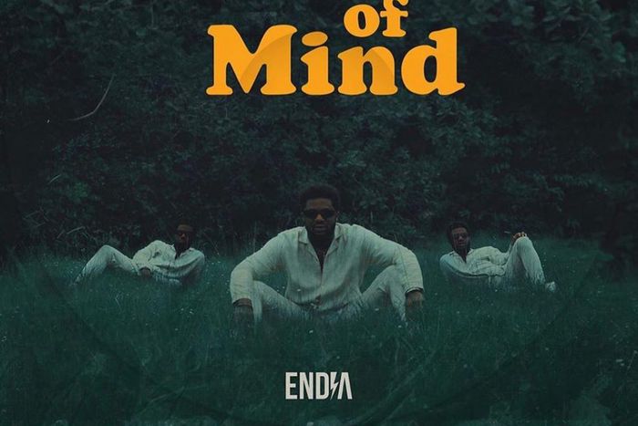 Endia - Peace of Mind. (Nigerian Sounds)