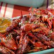 Crayfish contains amazing nutrients that benefits the health [ece-auto-gen]