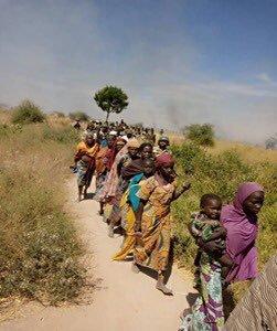 Boko Haram/ISWAP: Nigerian Army troops kill more terrorists, rescue women, children in Borno. [Twitter/@fredwave]