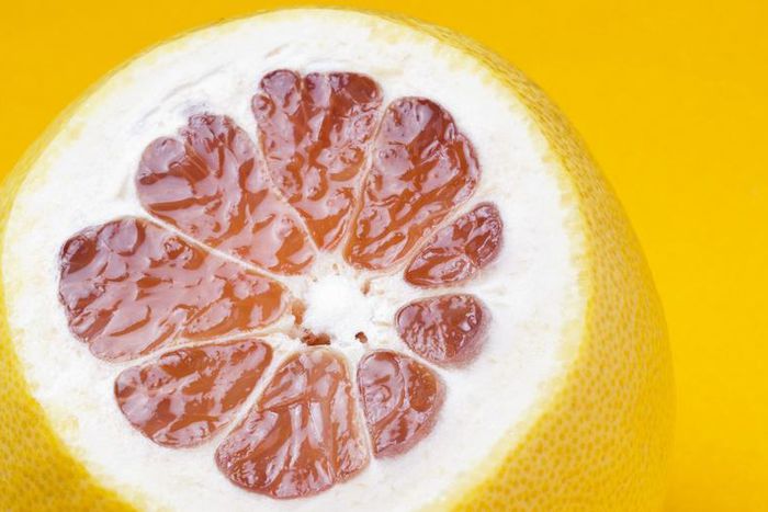 Dr. Pimple Popper Pops Grapefruit Lipoma