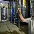 Wine expert Carlos Abarzua examines a glass of white wine at the Familia Geisse vineyard in Pinto Bandeira in southern Brazil, a region gaining a reputation for high-quality sparkling wine