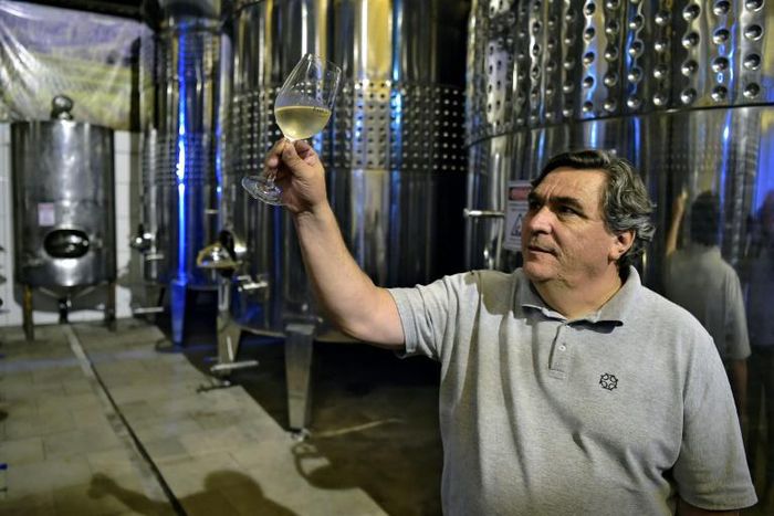 Wine expert Carlos Abarzua examines a glass of white wine at the Familia Geisse vineyard in Pinto Bandeira in southern Brazil, a region gaining a reputation for high-quality sparkling wine