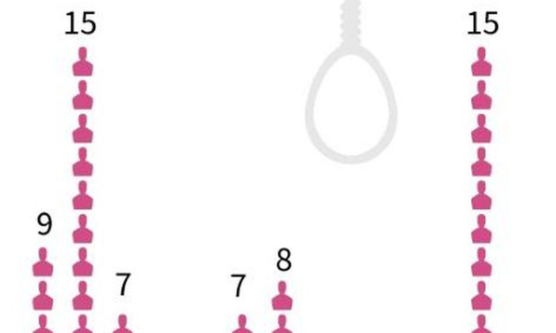 Chart showing total yearly executions in Japan