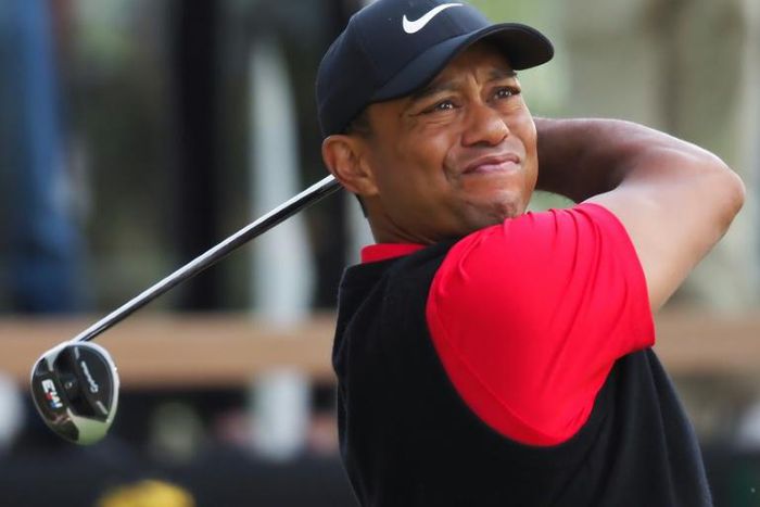 Tiger Woods will captain the United States team at next week's Presidents Cup golf in Melbourne