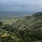 Crops border Virunga National Park in DR Congo, where the goverment faces a daunting challenge to protect the rainforest
