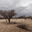 Namibia's government is impatient with the slow pace of land redistribution