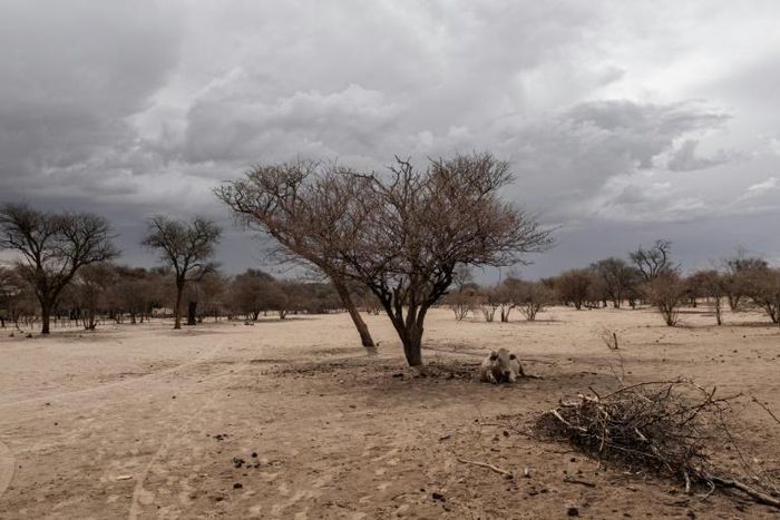 Namibia's government is impatient with the slow pace of land redistribution