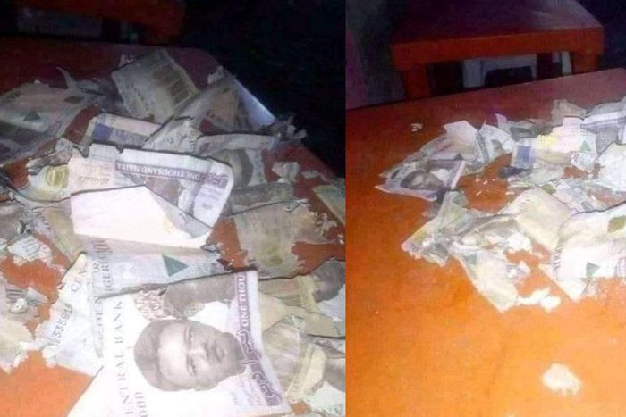 Man in tears as an evil rat destroys his Christmas savings