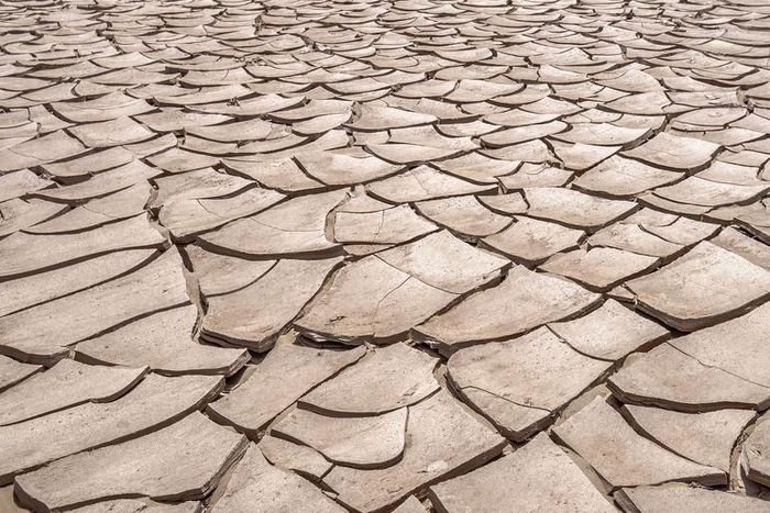 Dr. Pimple Popper Pops 'Dry' Blackhead