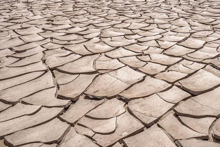 Dr. Pimple Popper Pops 'Dry' Blackhead