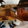 Men test dry cocoa beans at the Sagarama farm in Coaraci, Bahia state, Brazil