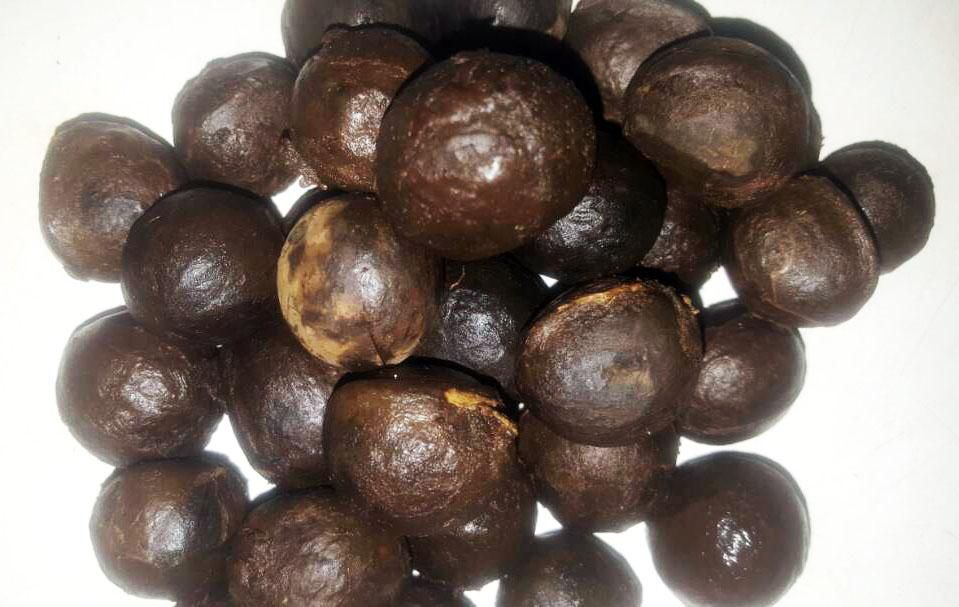 African Walnut