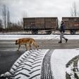 Oswiecim's residents try to lead normal lives despite knowing their town will always be associated with the Holocaust