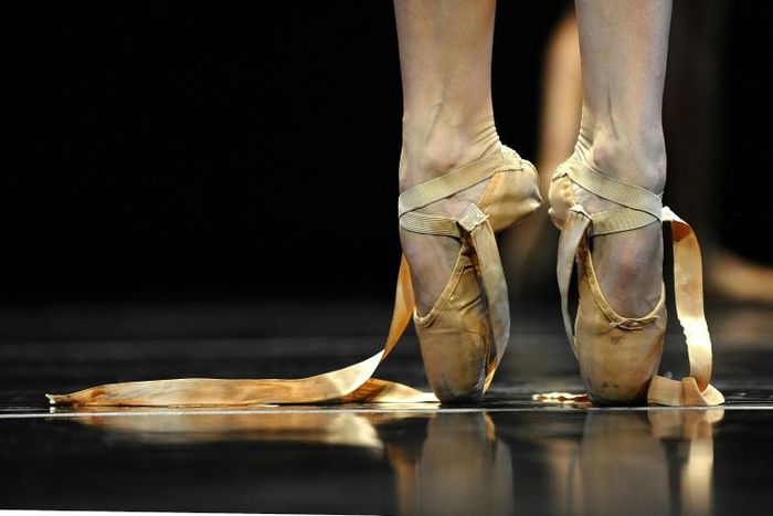 Vienna's ballet academy is accused of inflicting serious physical and mental abuse on its students as well as of sexual assault