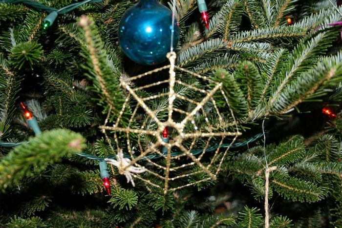 Cobweb christmas