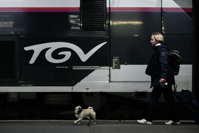 Only half of high-speed TGV trains were running in France