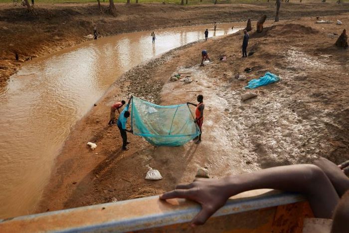 The World Food Programme says 5.5 million people in South Sudan could go hungry in early 2020 after a fierce drought in 2018 was followed by flooding this year