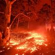 The fires have claimed at least 26 lives and destroyed more than 2,000 homes across Australia
