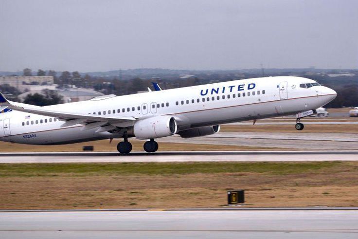Scorpion Stings Woman on United Flight