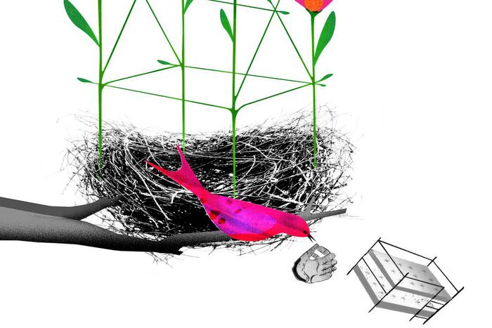 What to Do With Your Empty Nest?