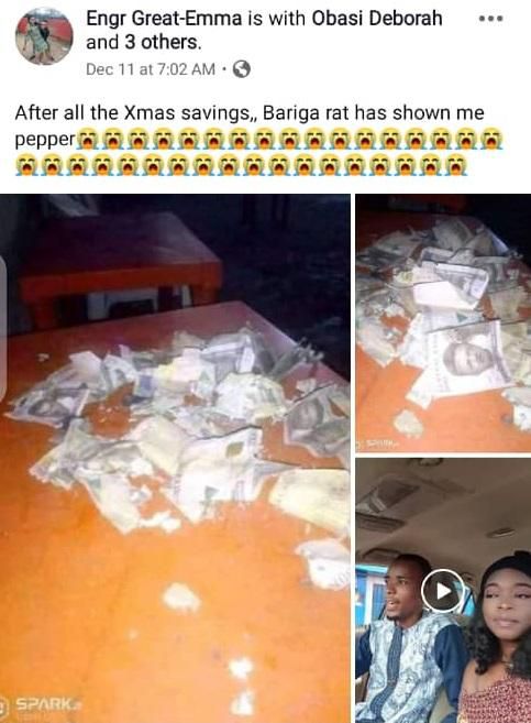 Man in tears as an evil rat destroys his Christmas savings