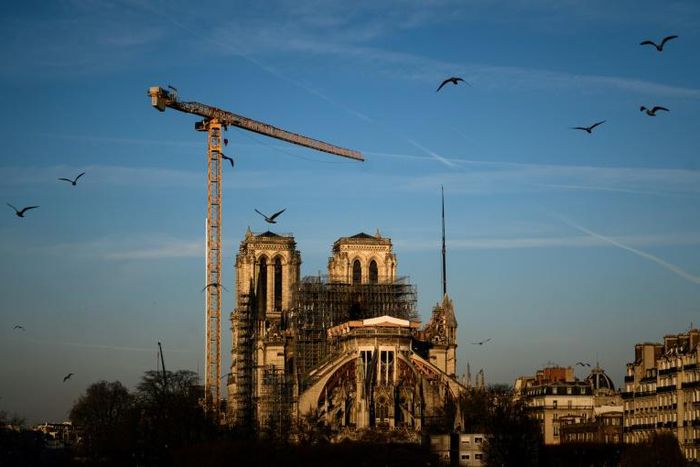 The head of the Guild of French Architects has warned against "seemingly brilliant solutions" which involve metal or concrete rafters as he urged the use of wood for reconstruction of Notre-Dame's fire-ravaged roof