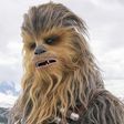 How to Train Like Chewbacca