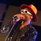 Bez Live 2019. (Pulse Nigeria)