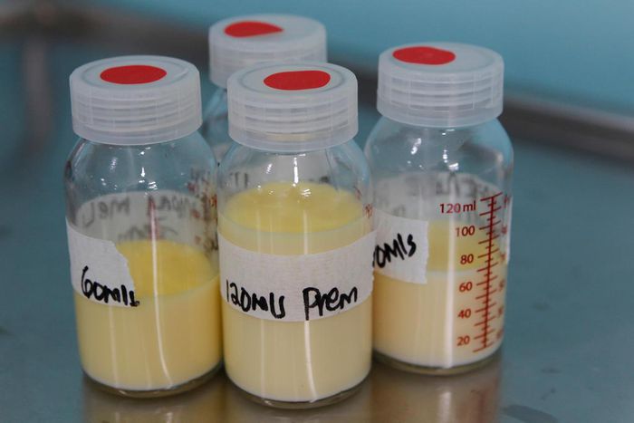 Kenya launches first breast milk bank to help newborns