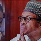 Sowore's Wife, Mrs Ope Sowore asks President Muhammadu Buhari to release her husband saying she and her children want him back hom (Punch)