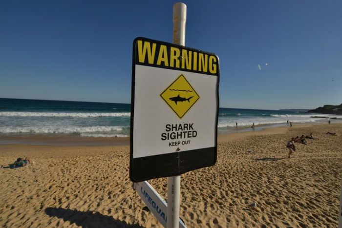 A diver was killed by a shark off Western Australia