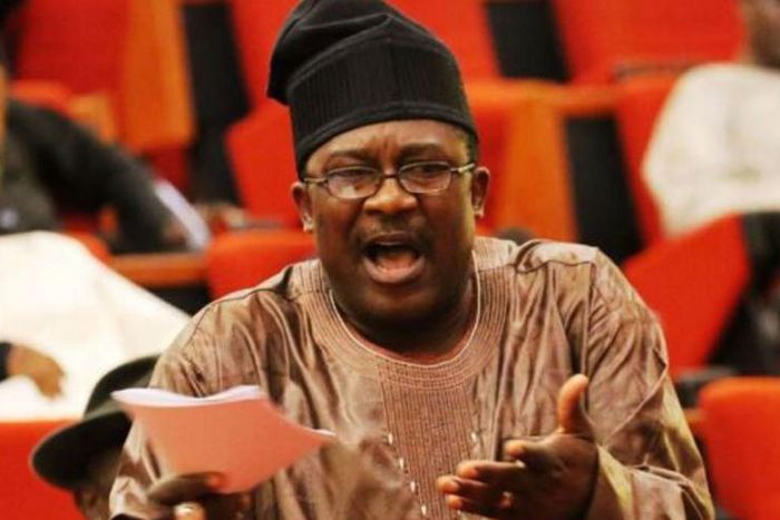 Senator Smart Adeyemi