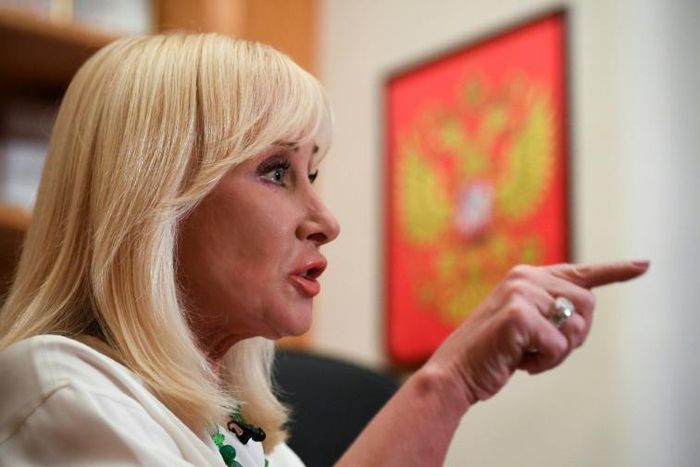 Pushkina's proposed law against domestic violence has been attacked for damaging 'traditional values'