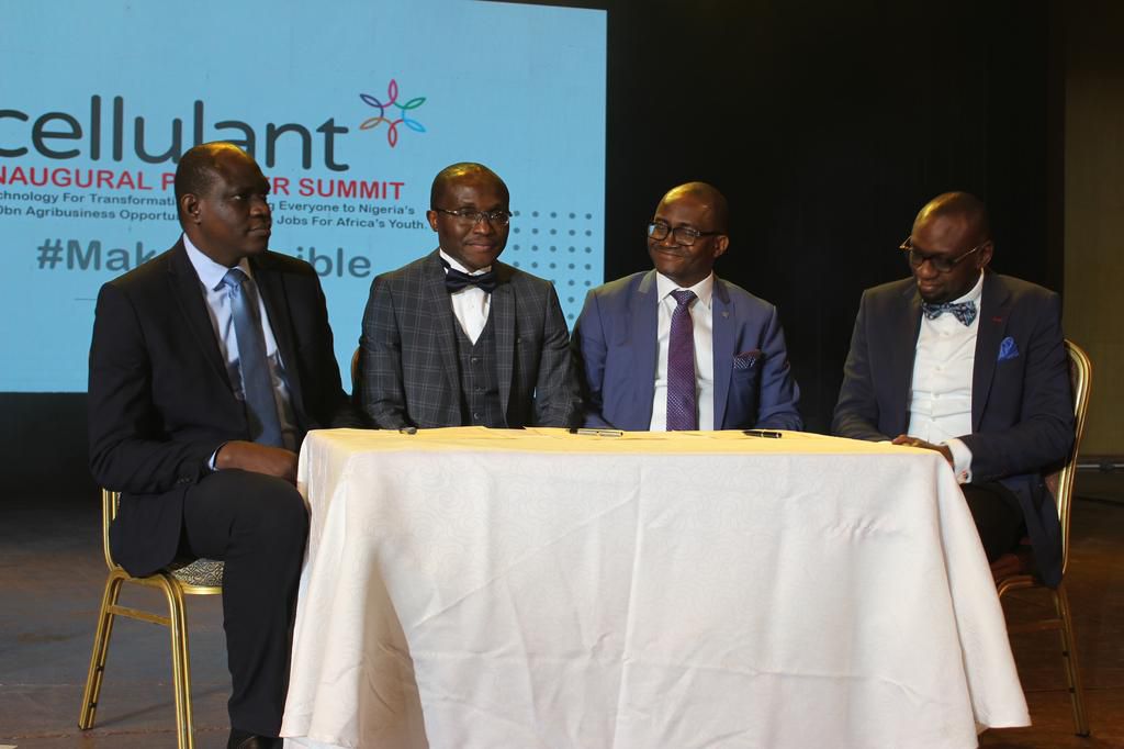 Cellulant to eliminate wastages, inefficiency in Agric value chain with technology