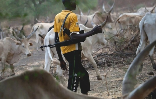 Armed Fulani herdsman. [The Guardian]