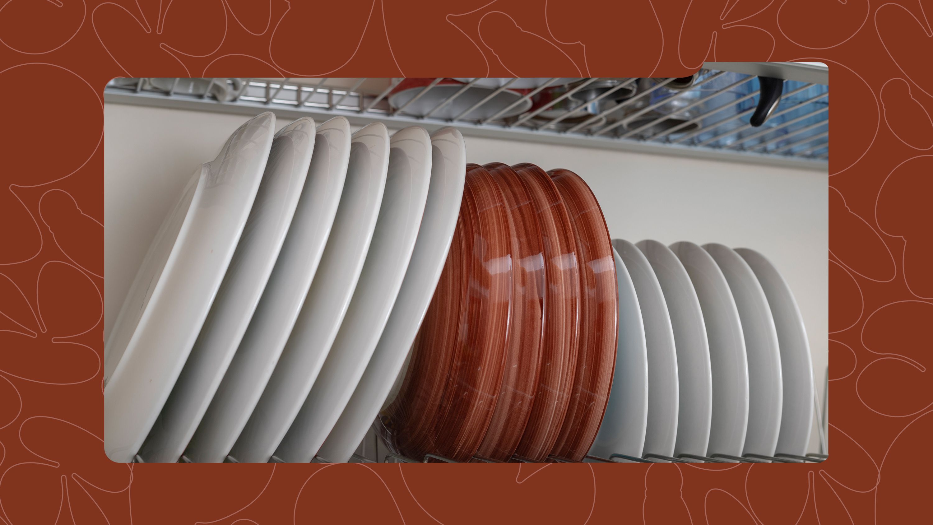 5 Top Dish Racks to Keep Your Kitchen Organised in 2025
