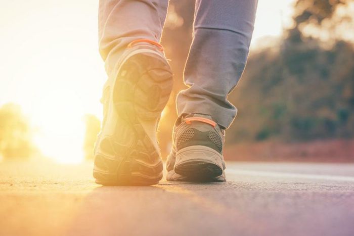 Does Walking Help You Lose Weight?