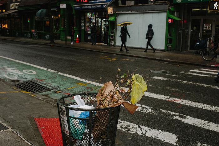 Get Ready, New York: The Plastic Bag Ban Is Starting